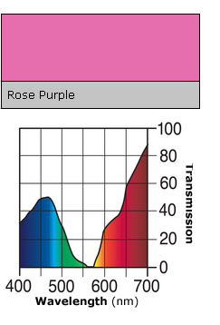 Color roll 048 rose purple