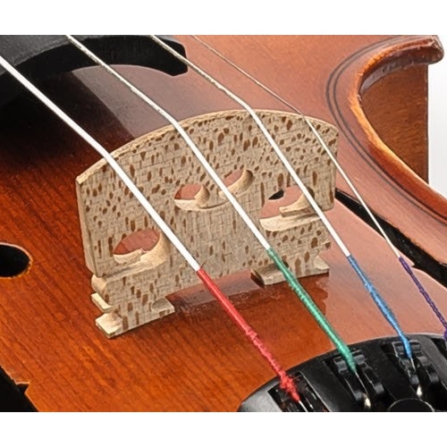 Strings for Bowed Instruments